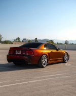 IMG_4164.jpeg