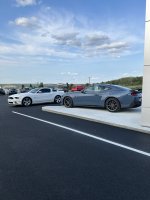 IMG_3539.jpeg
