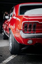 IMG_4501.jpeg