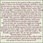 IMG_3107.jpeg