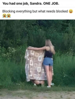 1752520456668.png