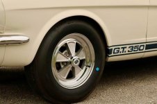 IMG_4871.jpeg
