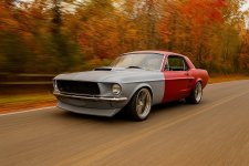 IMG_4851.jpeg