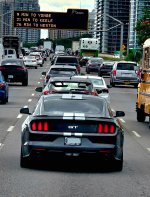 IMG_4984.jpeg