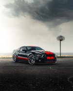 IMG_4335.jpeg