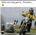 1752877114983.png