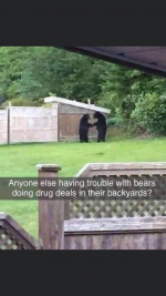 1753032847507.png
