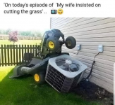 1753300649662.png