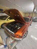 IMG_0304.jpeg