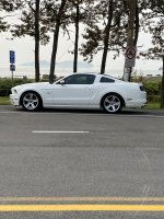 14 white 5.0.jpeg