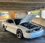 IMG_4850.jpeg