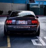 IMG_4755.jpeg