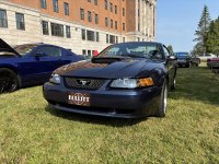 IMG_3337.jpeg