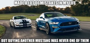 IMG_5447.jpeg