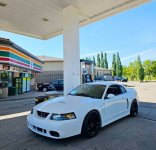 IMG_5461.jpeg