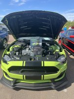 IMG_0907.jpeg
