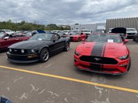 IMG_6877.jpeg