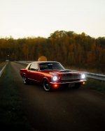 IMG_4841.jpeg