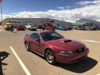 IMG_0608.JPG
