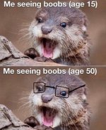 IMG_3595.jpeg