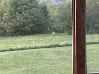 IMG_5855.jpeg