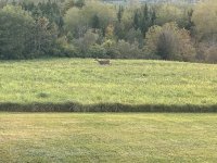 IMG_5863.jpeg