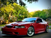 IMG_5482.jpeg