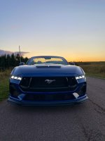 IMG_4649.jpeg