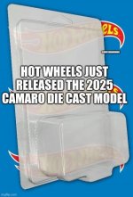 IMG_3931.jpeg