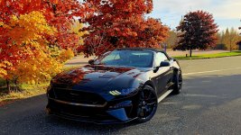 2018 GT Fall.jpg