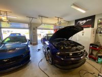 IMG_5009.jpeg