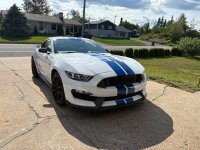 IMG_5870.jpeg
