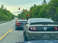 IMG_8216.jpeg