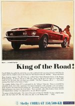 IMG_0618.jpeg
