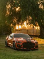IMG_5905.jpeg