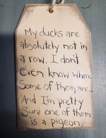 IMG_0629.jpeg