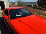 IMG_20200430_145819.jpg