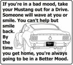 C789E4F3-88D5-484E-8FEF-5AD142B3E0C1.jpeg