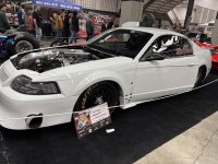 IMG_5771.jpeg
