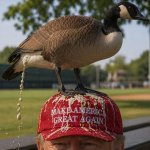 IMG_5806.jpeg