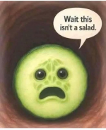 1776884920536.png