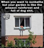 IMG_5834.jpeg