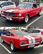 IMG_7291.jpeg
