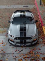 IMG_7336.jpeg