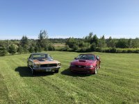 IMG_0950.JPG