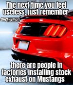 IMG_7930.jpeg