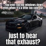 IMG_7991.jpeg