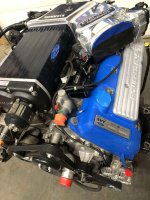 IMG_7621.jpeg