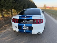 IMG_7439.jpeg