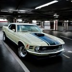 IMG_7494.jpeg